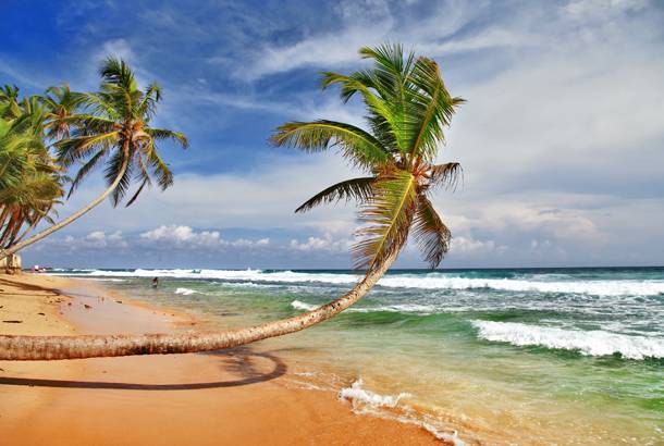 flight cruises sri lanka